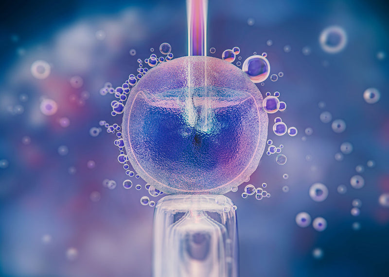 Exosomes: How the Micro-World Within Us Is Opening a New Era in Cosmetology